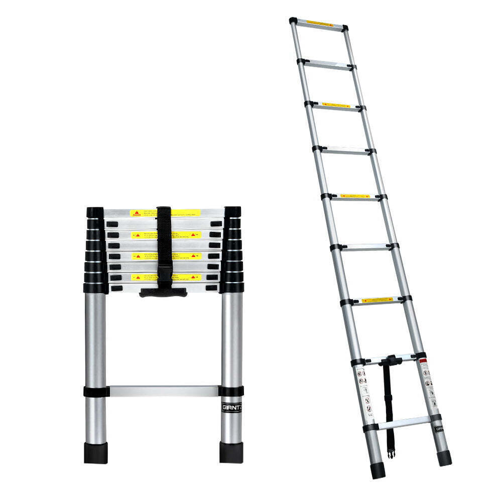 Compact Reach Ladder