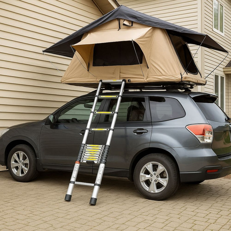 Compact Reach Ladder
