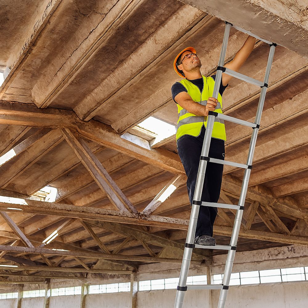 Compact Reach Ladder